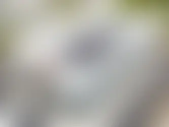 Chipotle unveils sustainable-restaurant design as it aims to cut carbon footprint in half by 2030