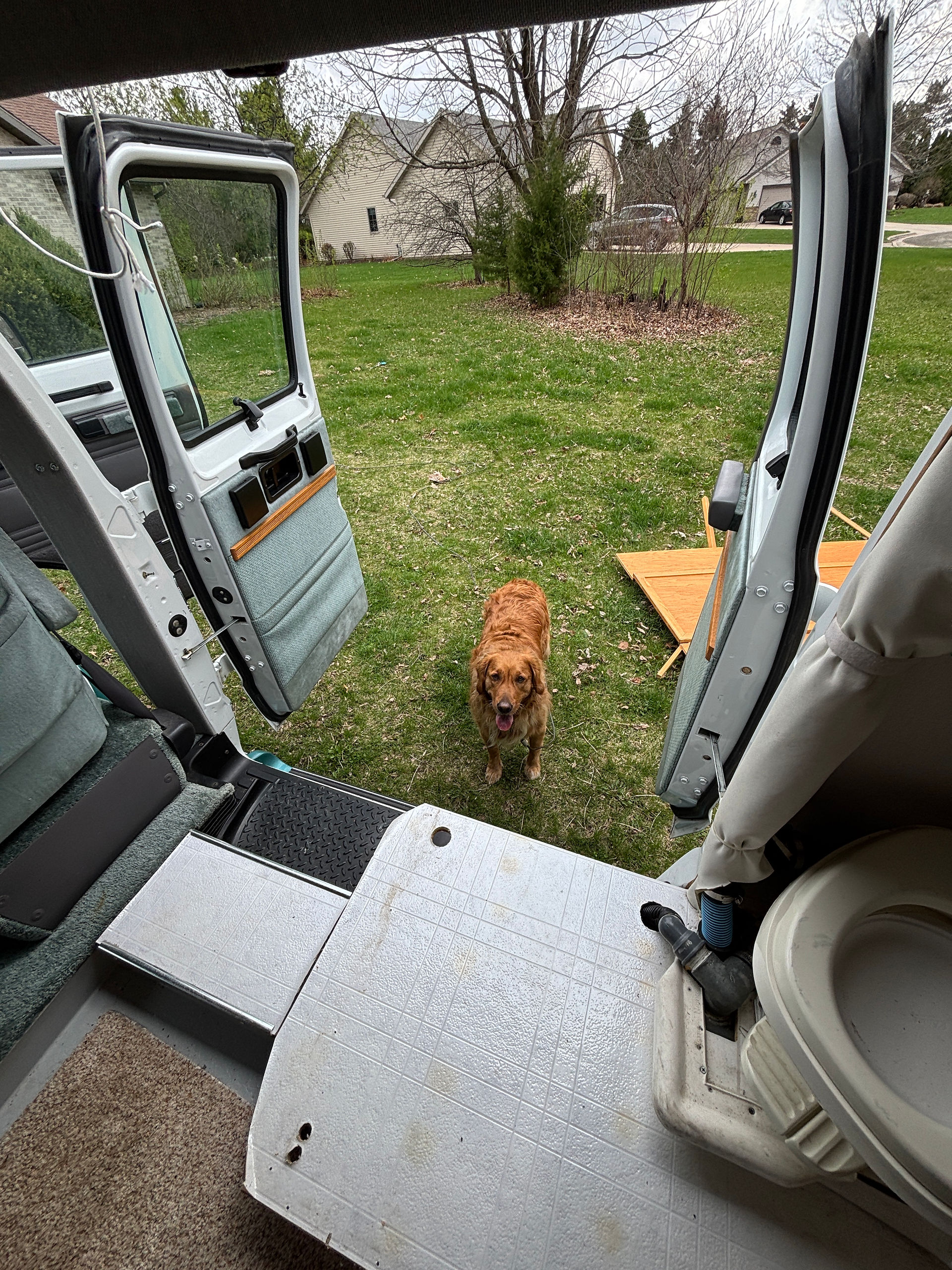 Photo taken from the interior of a 1996 Dodge Roadtrek 170 Popular with custom flooring. A golden retriever looks in at the camera.