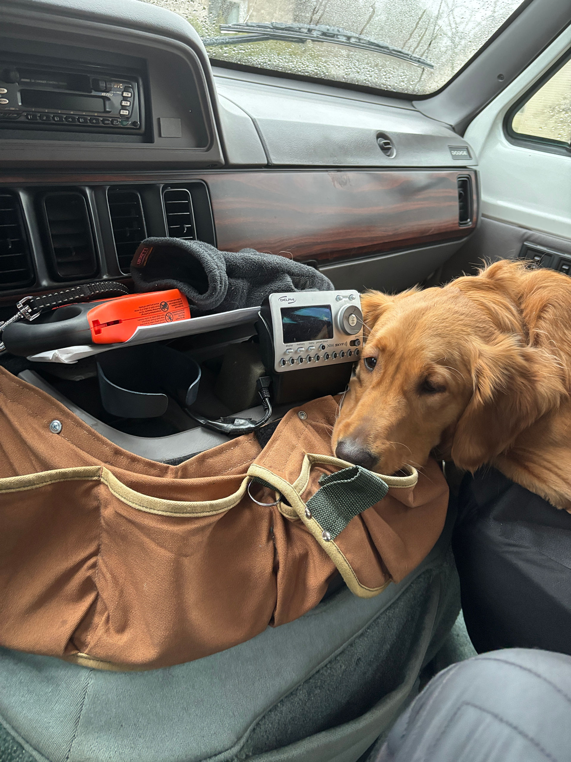 Golden retriever in front seat of a Roadtrek