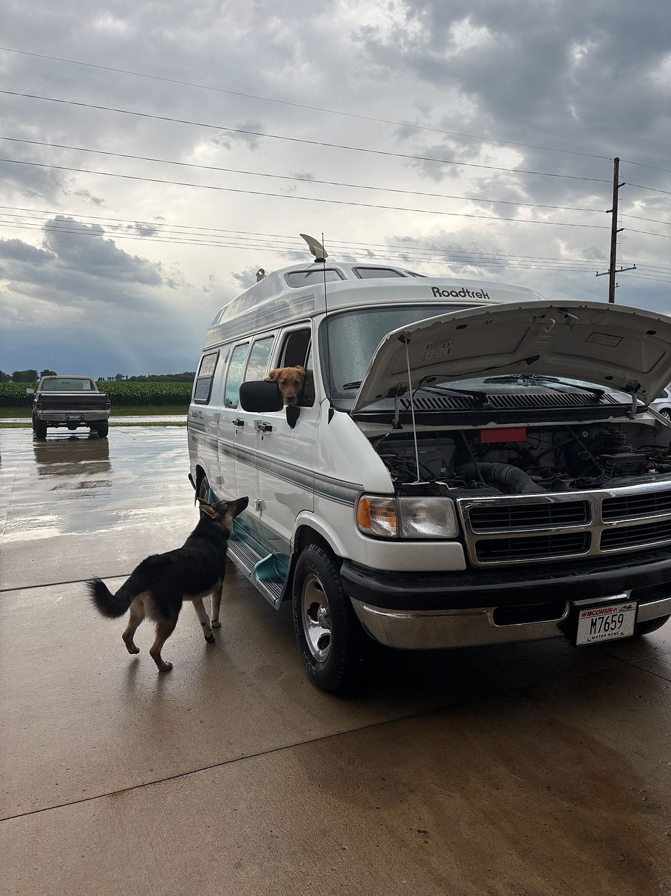 A 1996 Roadtrek Popular with a retriever looking out the passenger window and the hood up in front of a stormy Iowa sky. A German Shepard looks up at the retriever.