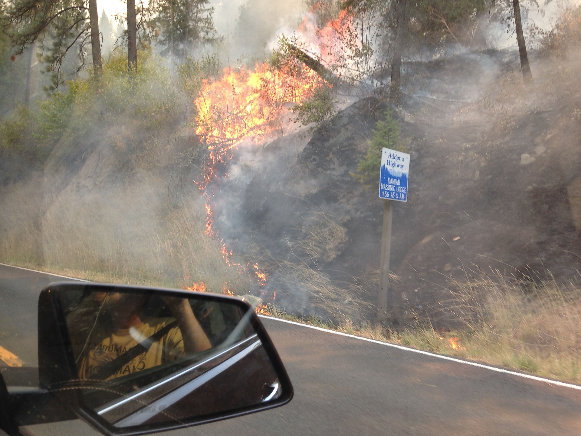 fire roadside