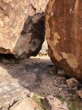 IMG_6505.jpeg