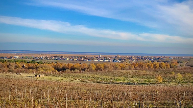 The town of Rust, Burgenland and vineyards.