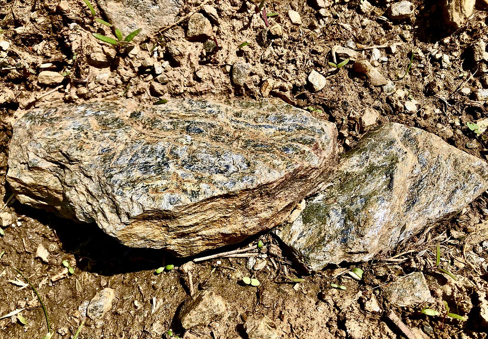 Kalk & Kreide image of mica-schist glimmering in Ried Steinberg, Schützen, Burgenland.