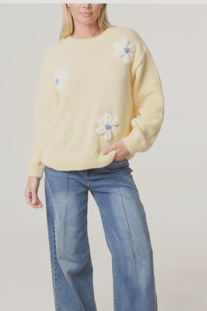 FLORAL APPLIQUE' KNIT JUMPER
