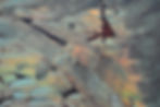 _Detail1.JPG