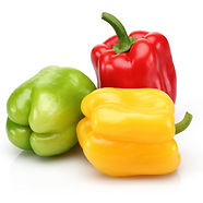 Capsicum.jpg