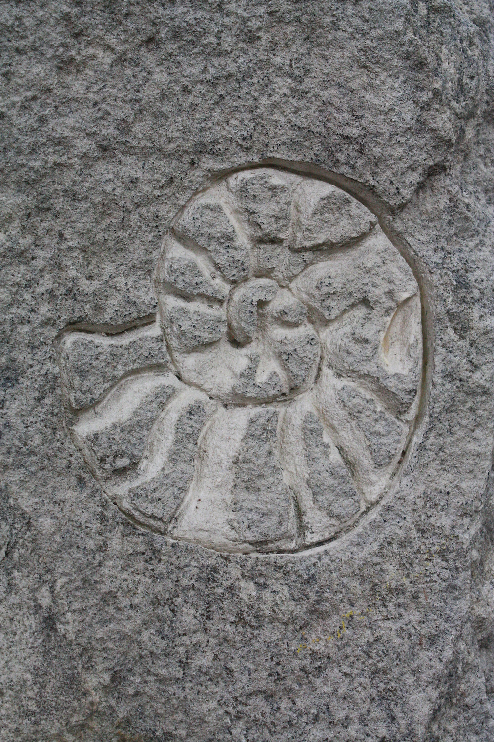 A fossil shell revealed in a carved ammonite.