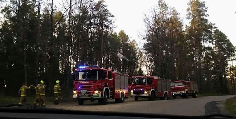 #25 Pożar lasu w Szelągu (gm. Łukta)