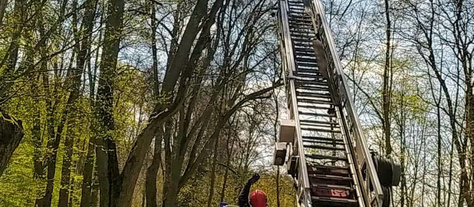 #24 Konar drzewa nad drogą w m. Karnity