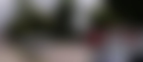 #35 Gniazdo owadów przy ul. Pasłęckiej