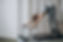 woman-practising-pilates-in-a-pilates-reformer.jpg