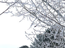 IMG_6802 (1).jpeg