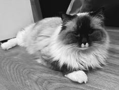 IMG_6989 (1).jpeg