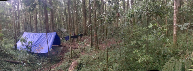Nina's Notes from the Field: April