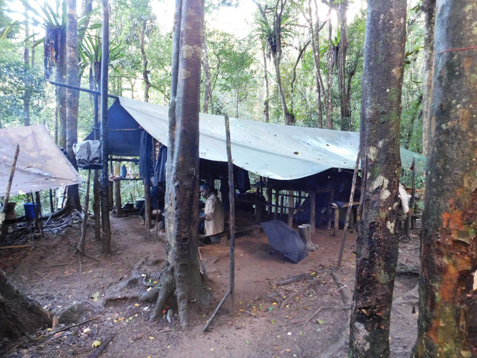 Notes from the field: May 2019