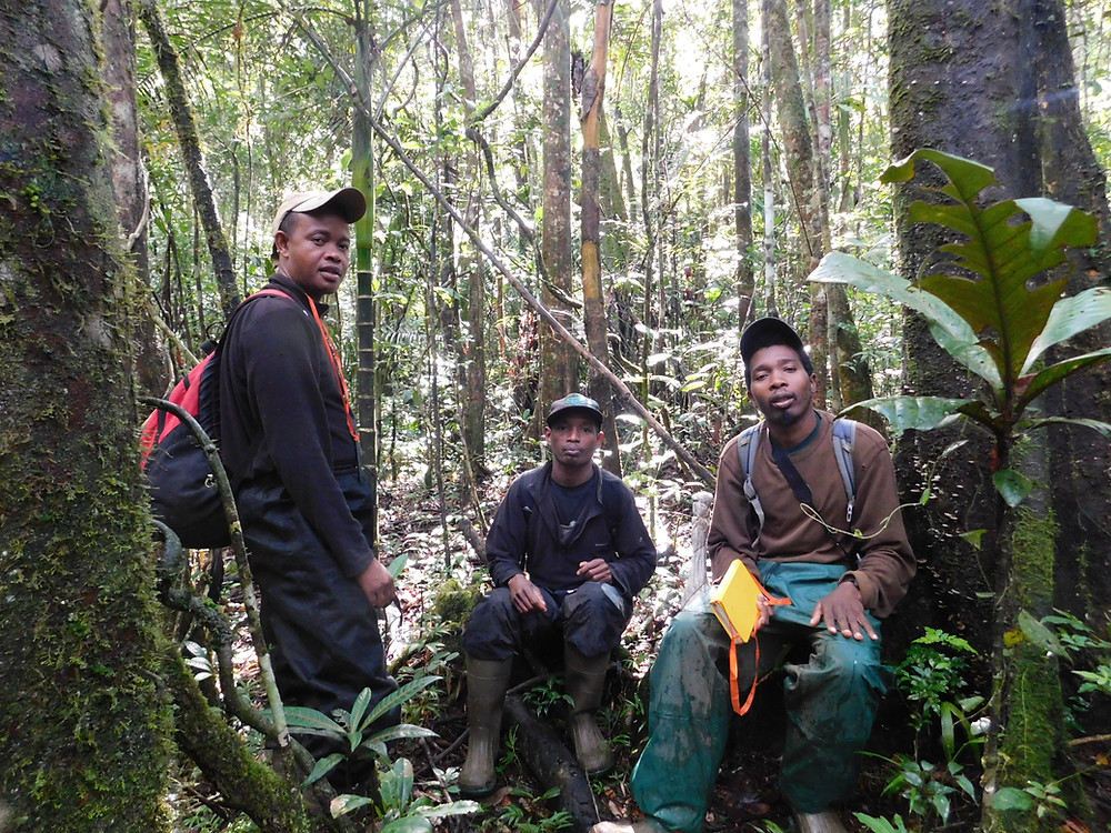Team 1 (left to right): Jean Guy, Velomaro, Pierre