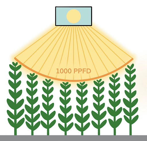 Angular Light Uniformity