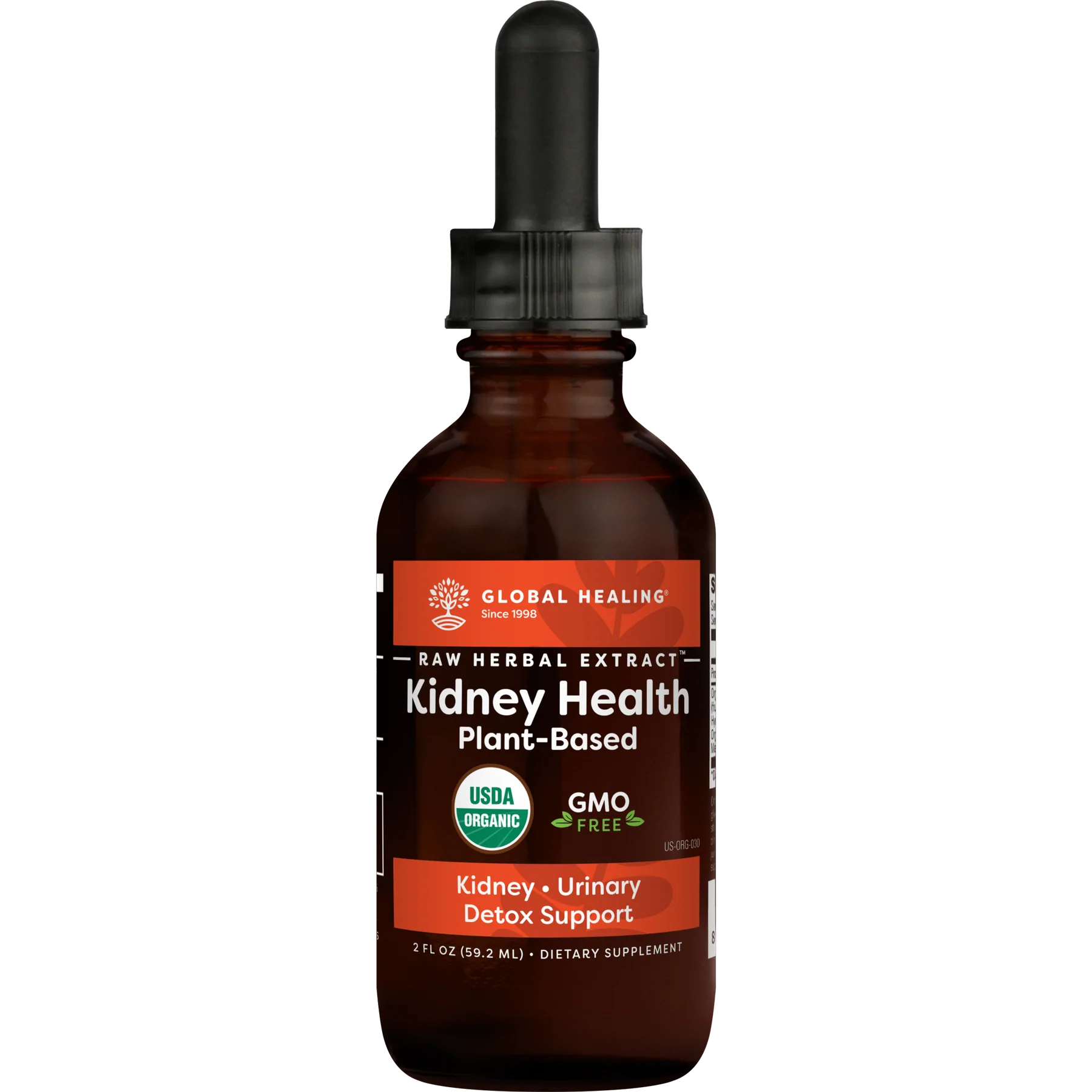 kidney health.webp