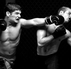 The Boxer