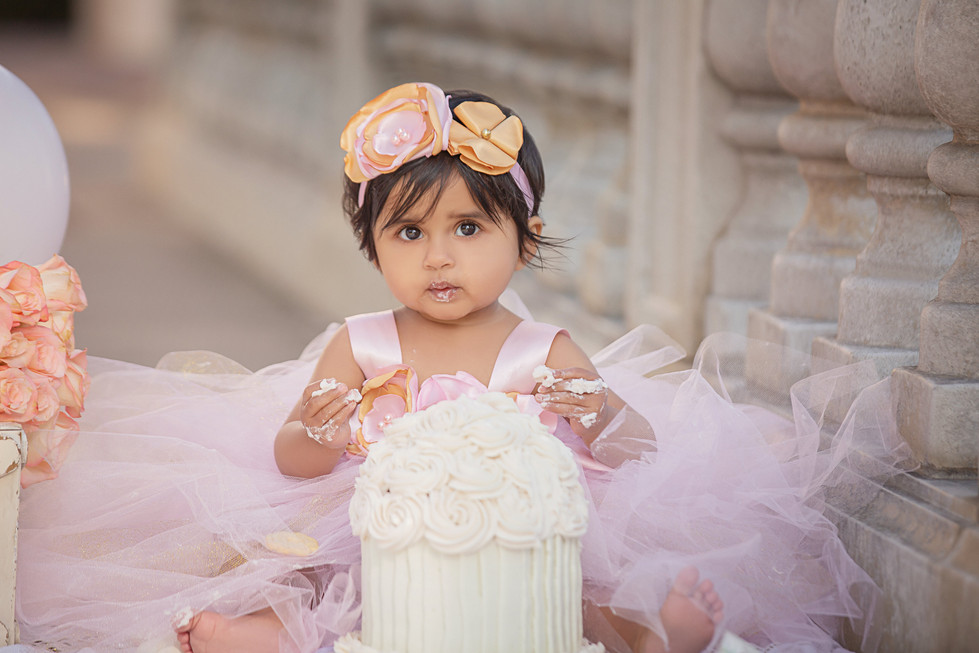 Neha Family LOS Angeles