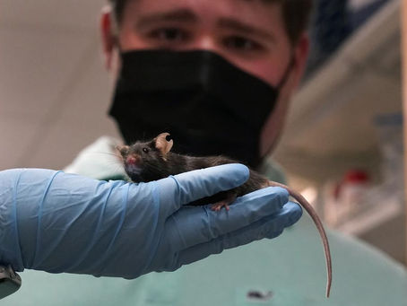 Jake’s mice: Searching for answers to the puzzle of autism