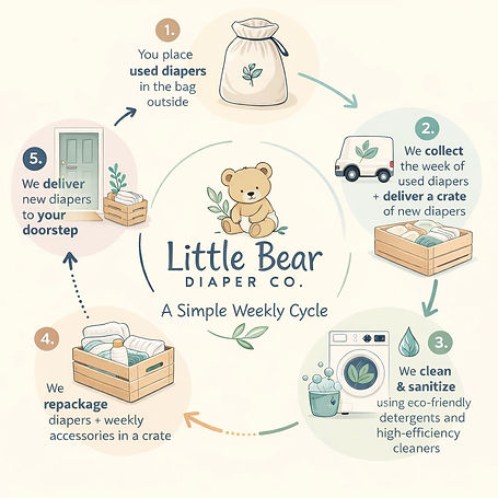Little Bear Weekly Cloth Diaper Cycle