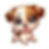 pngtree-a-cartoon-dog-png-image_16886581.png