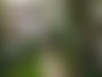 Maximiza tu Capital Acumulado en Vivienda para Inversiones y Consolidación de Deudas