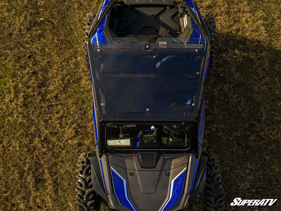 Thumbnail: HONDA TALON 1000R TINTED ROOF