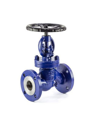 Globe Valve