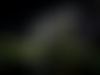TFTF | June 15, 2022