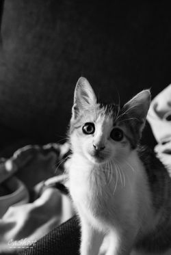 DSC01583