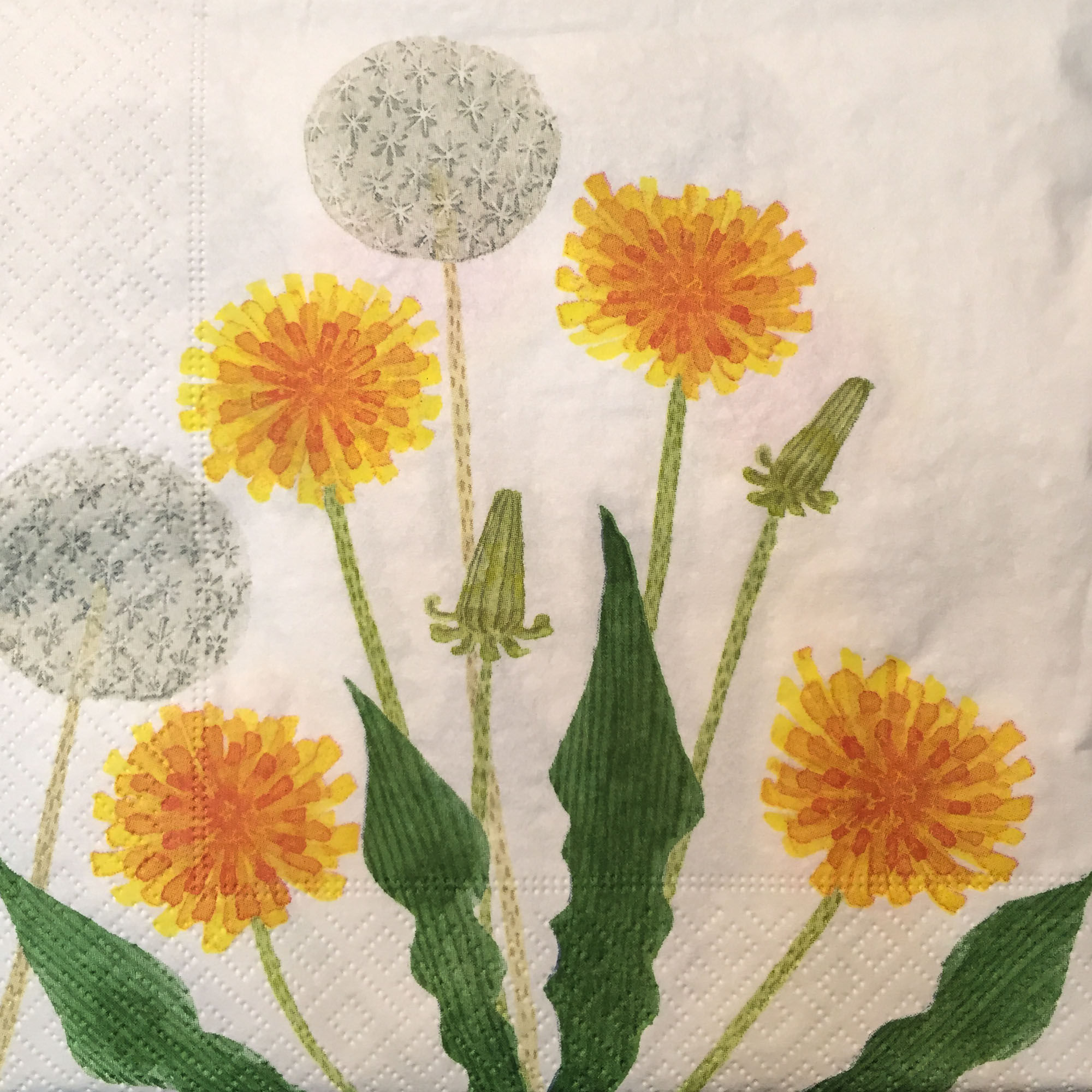餐巾Napkin - N-21575 - Pretty Dandelions