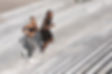 black-man-and-woman-jogging-together-in-urban-park-2022-12-16-07-07-28-utc.jpg