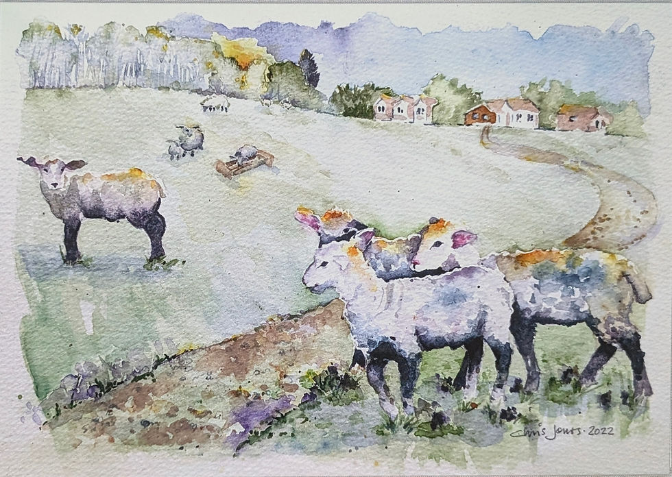 Thumbnail: CARD Sheepish Sheep