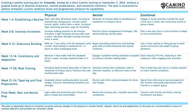 Example of a summary-level Training Plan