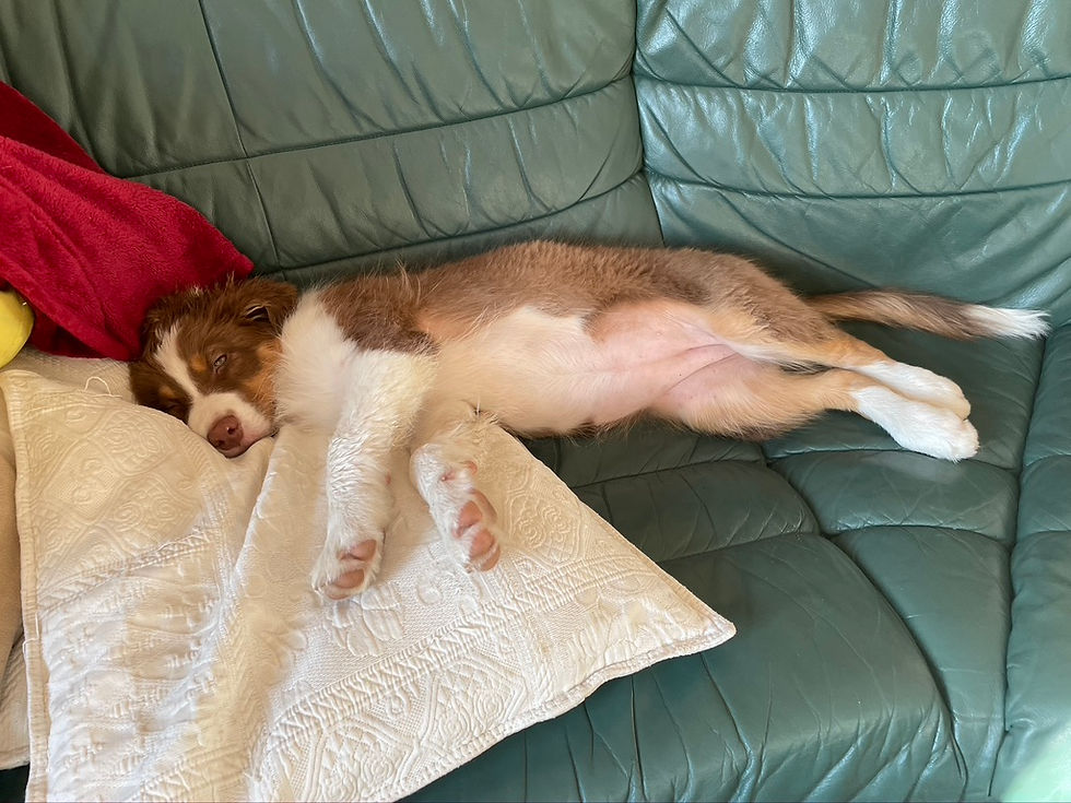 am Ende des Tages sehr ich dann eher so aus