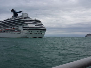 Cruise 101