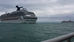 Cruise 101