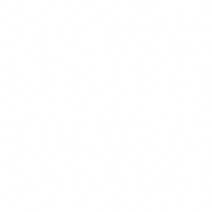 motif blanc.png