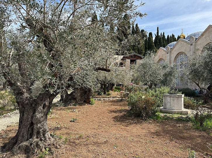 KakaoTalk_Photo_2023-03-07-17-01-58 003.jpeg