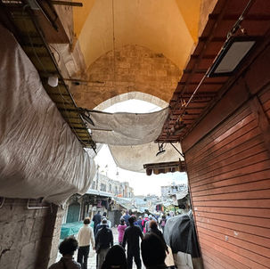 KakaoTalk_Photo_2023-03-08-18-02-13 003.jpeg