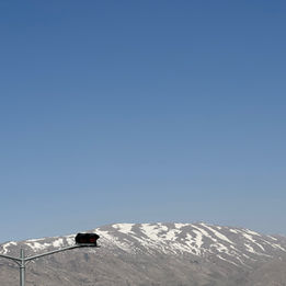 KakaoTalk_Photo_2023-03-14-09-27-12 005.jpeg