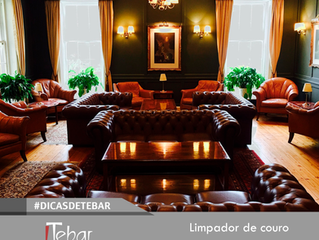 Limpeza de couro com eucalípto!