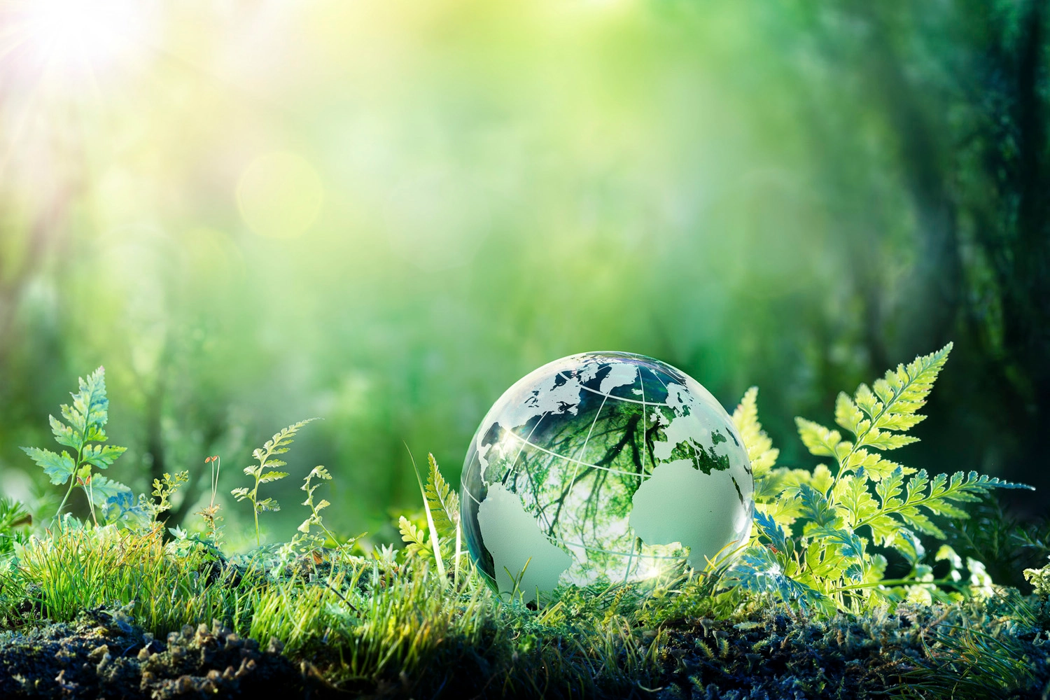 greennewdeal.webp