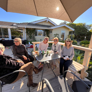 Pam Aldene, Nicole Walther, Marianne Kruidienier at the table facing the camera