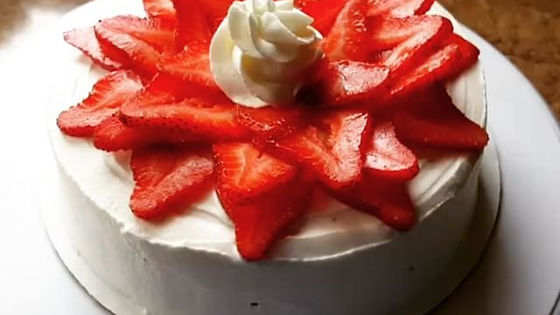 Plain Cheesecake