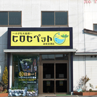 成田空港店外観.png
