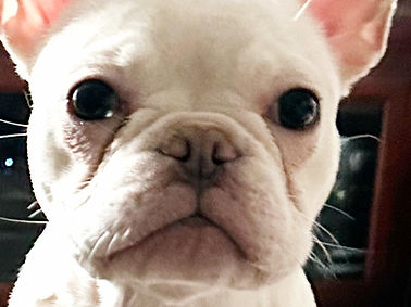 clients 1 _edited.jpg